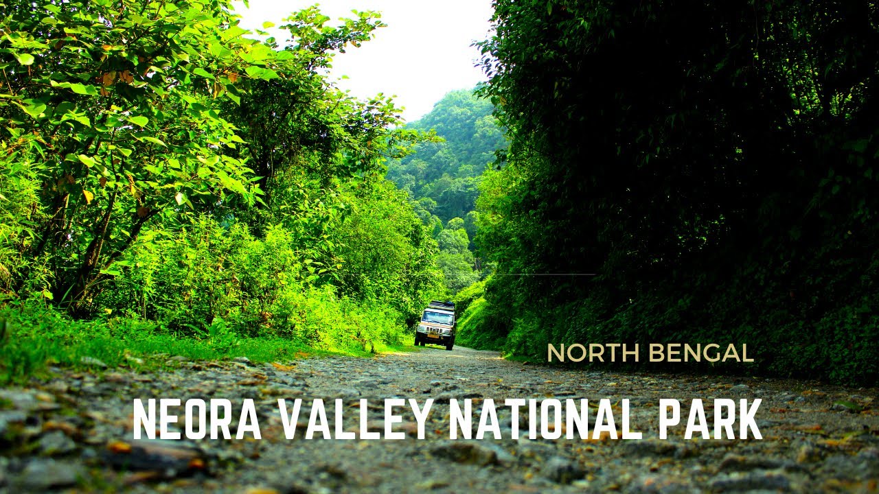 Neora Valley National Park | Neora Valley Jungle Camp | Neora Valley Jungle Safari