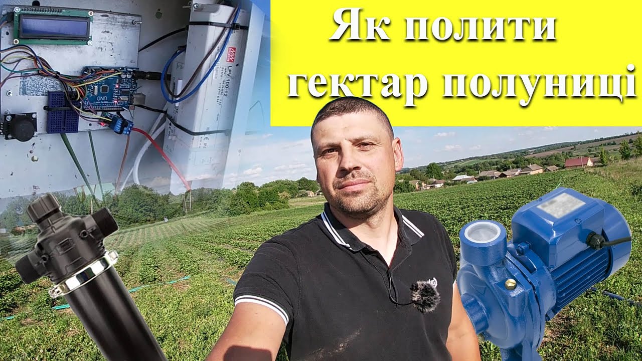 Як налаштувати систему поливу для полуниці