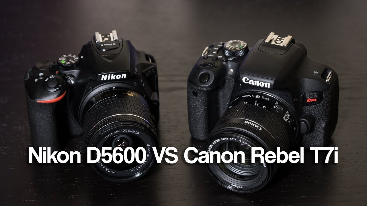 Nikon D5600 VS Canon Rebel T7i (800D) Which is Better?