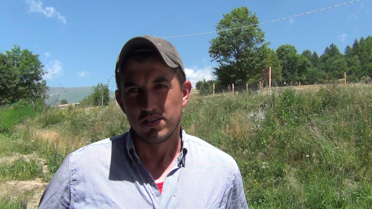 Un giovane pastore di Ostana