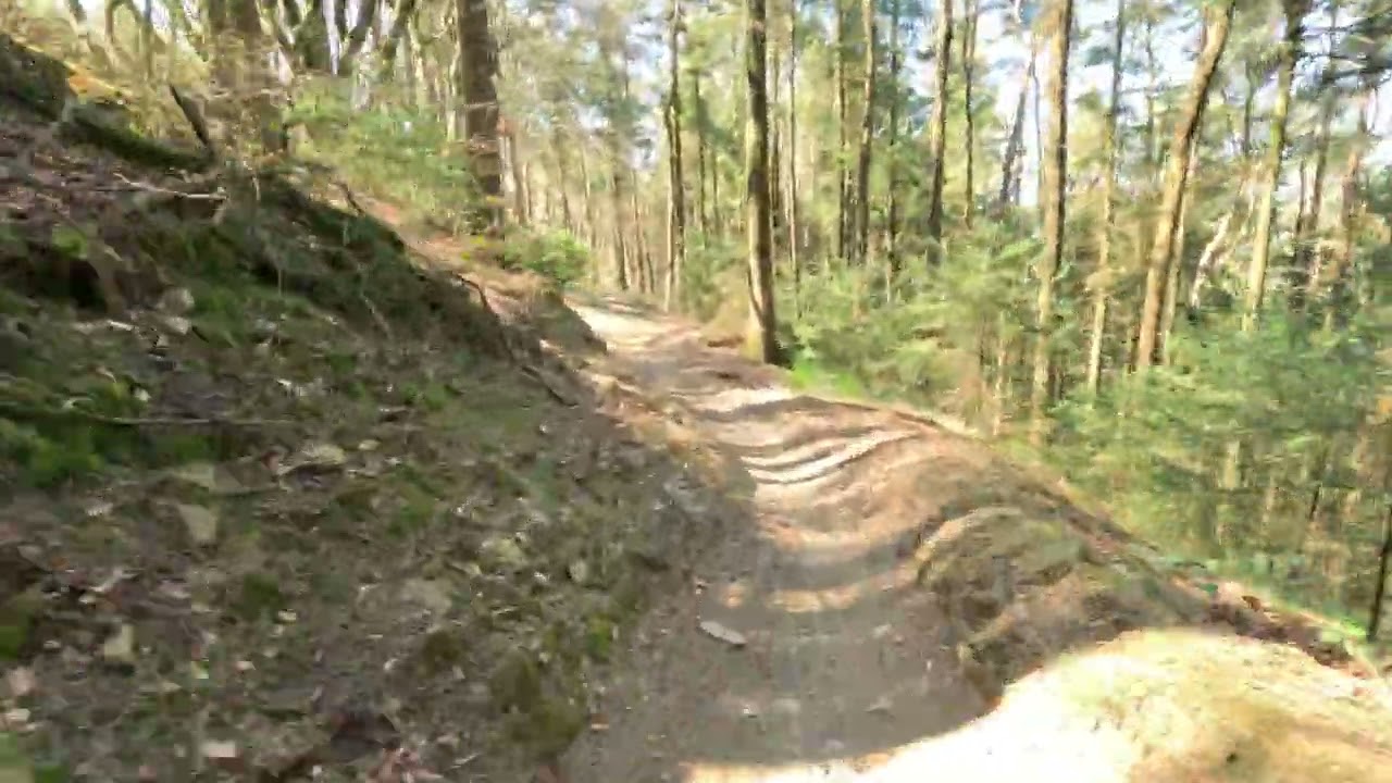 Cwmcarn “Evil Dead Ted” Downhill!
