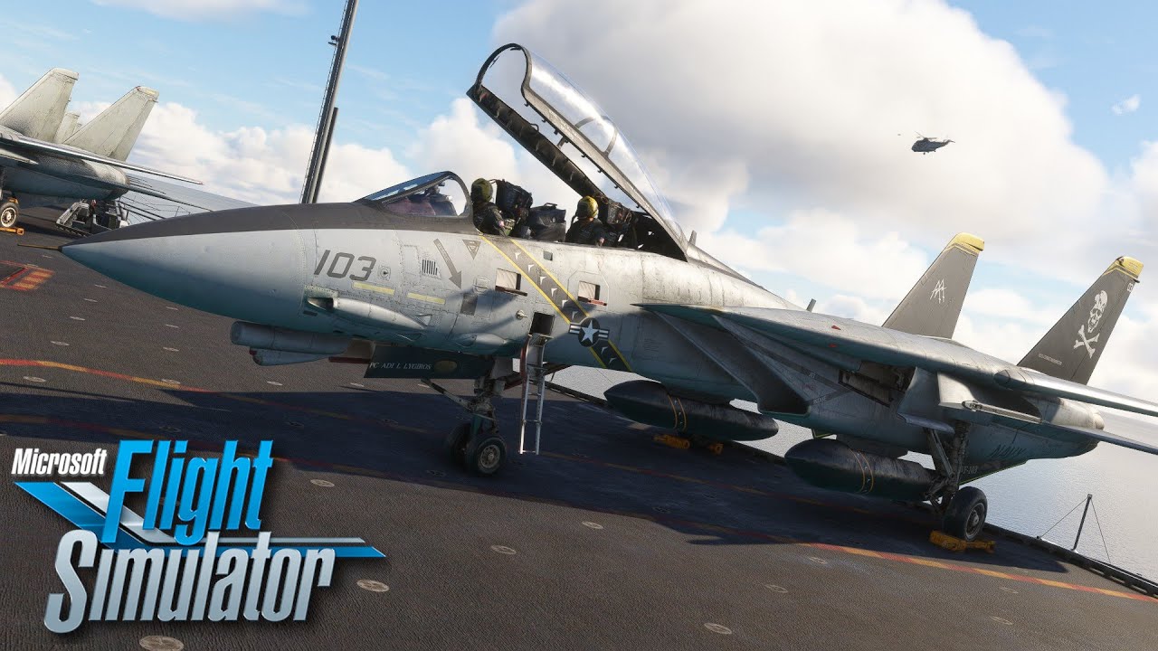 IndiaFoxtEcho & HeatBlur F14 Tomcat - First Look Review! - MSFS