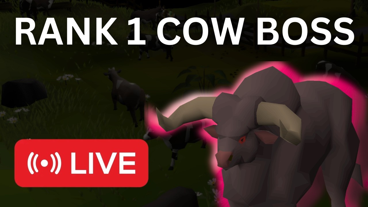 🔥 COW BOSS RELEASE DAY 🔥 CHASING RANK 1 🔥
