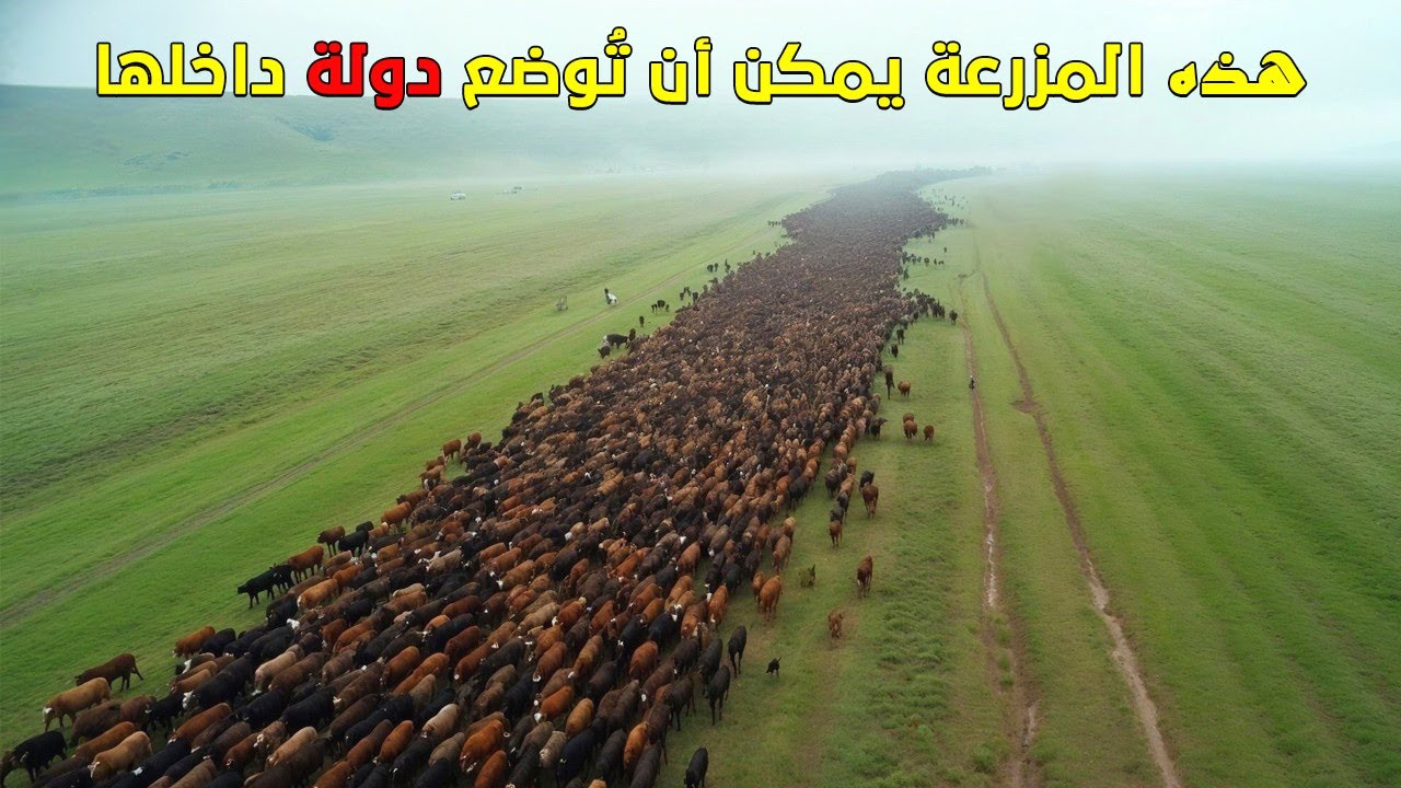 أكبر 10 مزارع على وجه الأرض، مزرعة واحدة قادرة على إطعام أكثر من 200 مليون شخص