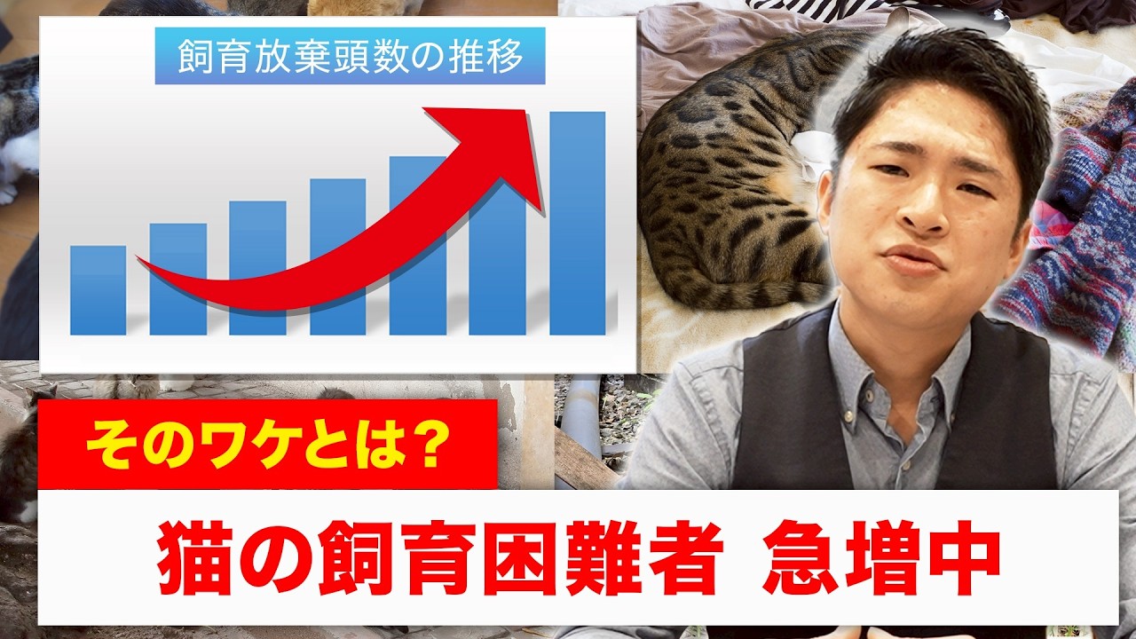 【もう飼えません…】 猫の飼育放棄が止まらない…。その理由と私たちにできること