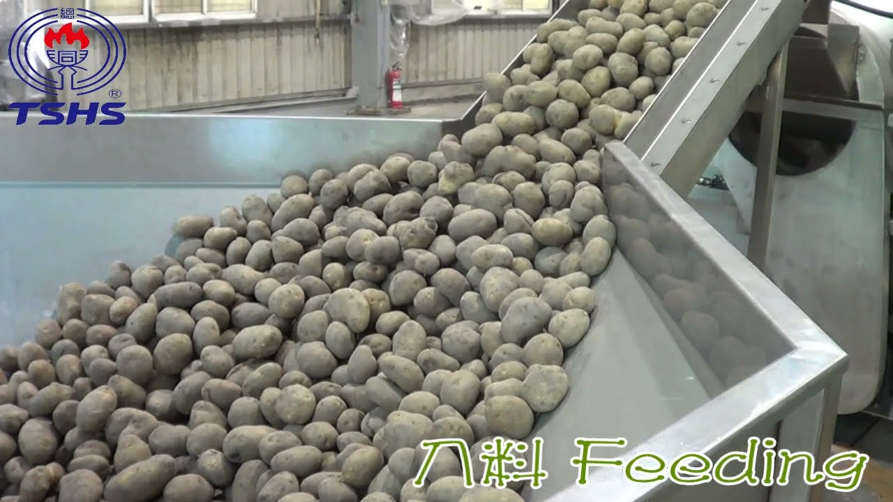 Potato Chips Production Line｜洋芋片生產線｜Tsunghsing(TSHS)