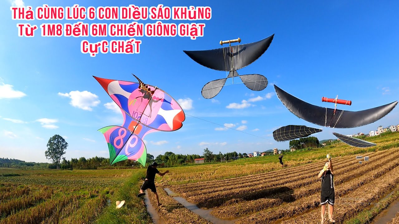 Ba S&oacute;i TV | thả c&ugrave;ng l&uacute;c 6 con diều s&aacute;o khủng từ 1m8 đến 6m chiến gi&ocirc;ng giật cực chất