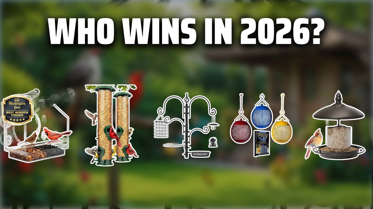 The Top 5 Best Bird Feeder Set in 2026 - Must Watch Before Buying!