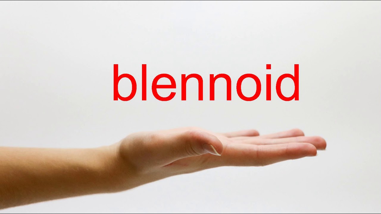 How to Pronounce blennoid - American English