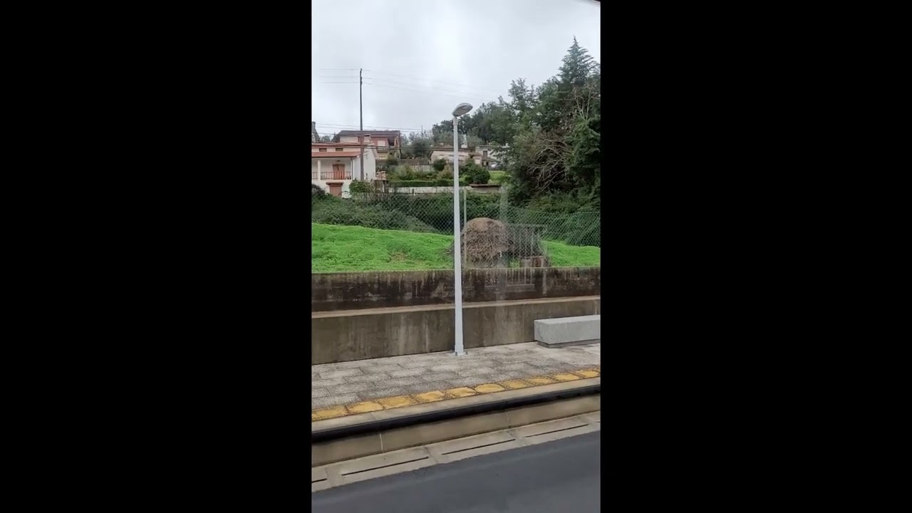 Metro Mondego