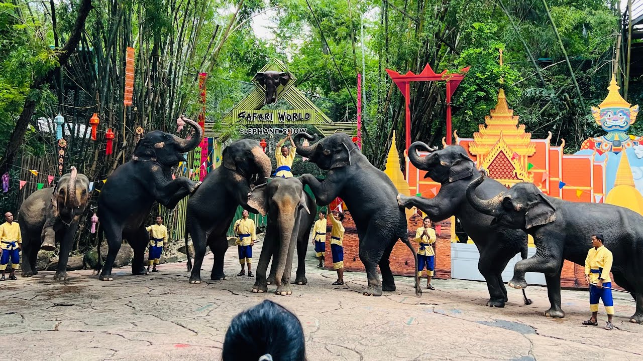 Day 1 : Bangkok Safari World #SarHem
