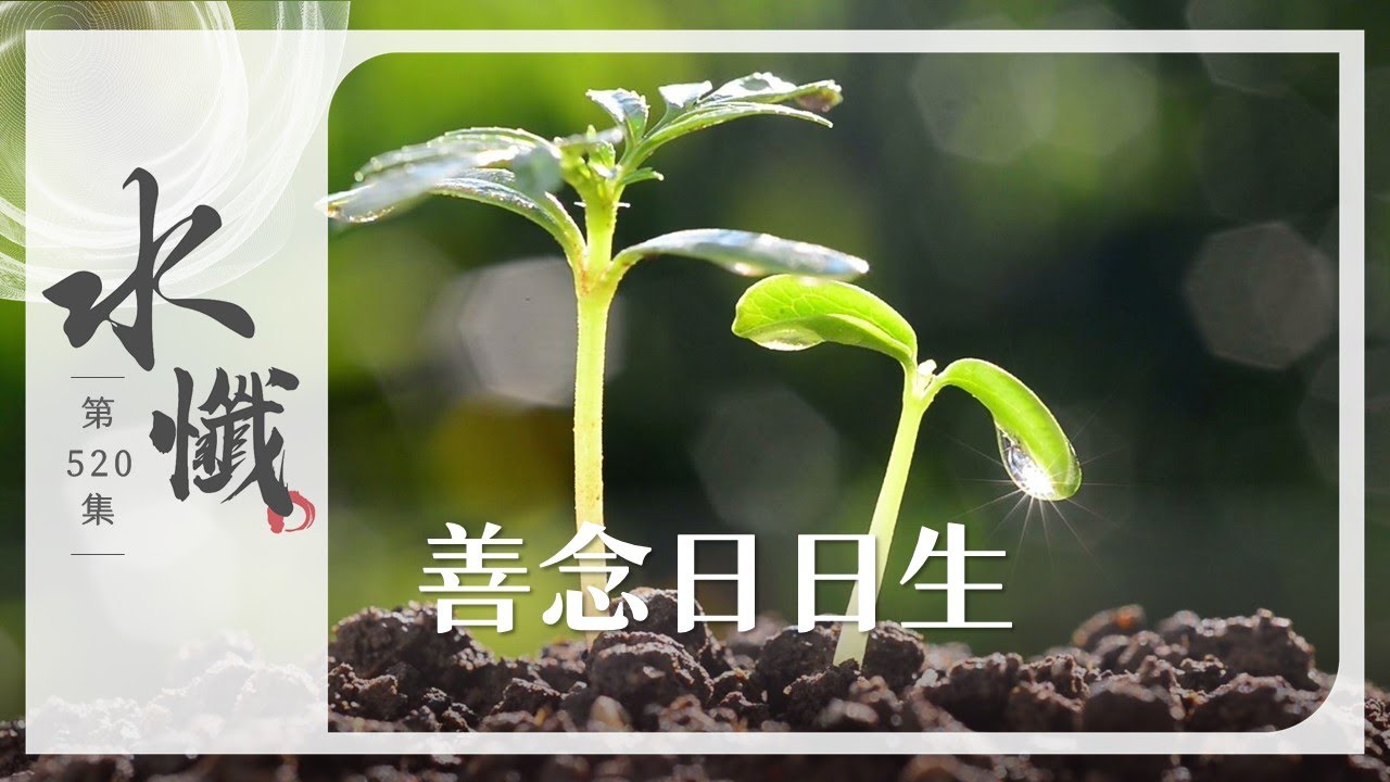 【法譬如水】 善念日日生 - 第520集｜水懺｜慈悲三昧水懺｜ 20260209