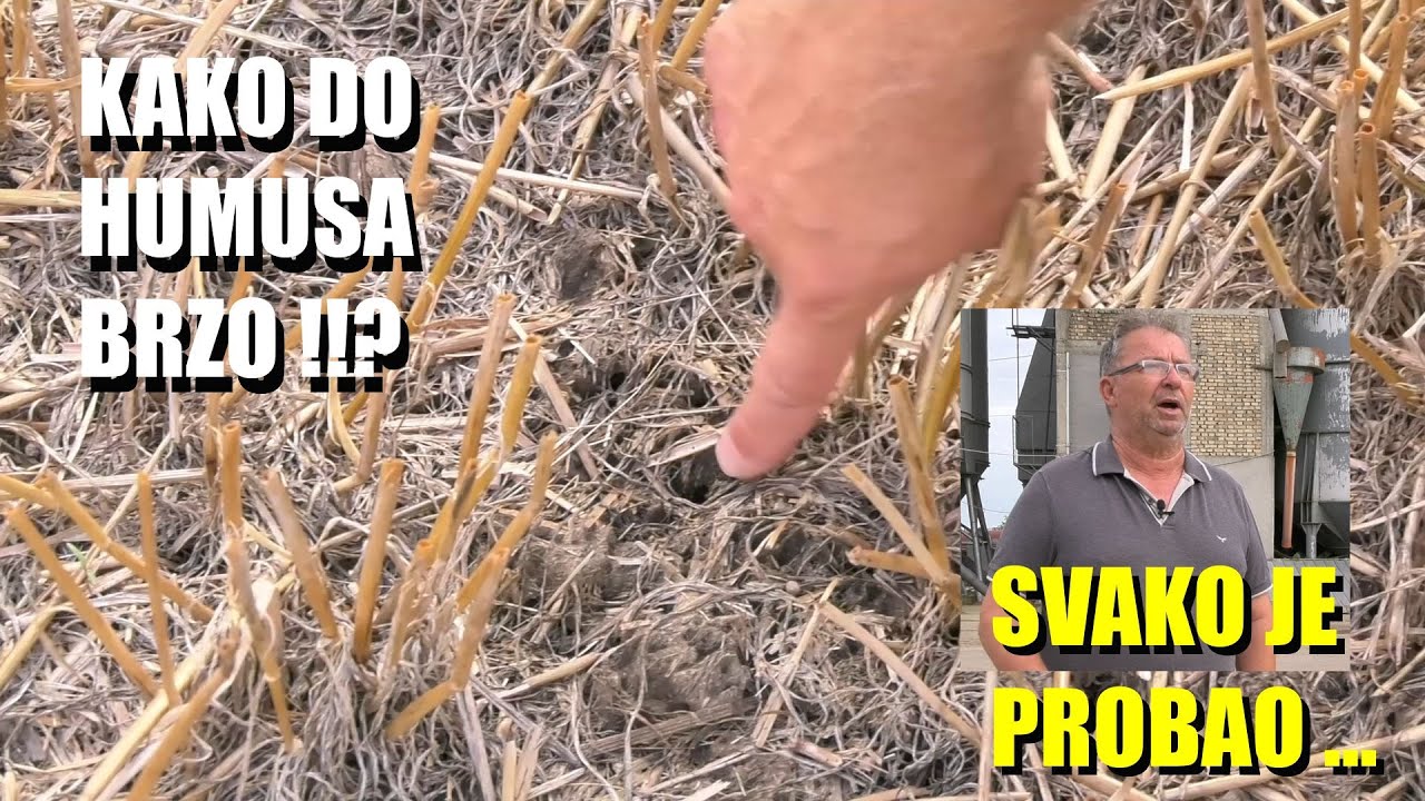 KAKO DO HUMUSA -??! BRZO ! Rezultati upotrebe GEO2 RATARSTVO u žitaricama - ISKUSTVA - DEO REŠENJA