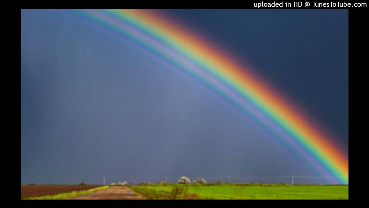 free plugg beat *rainbow*