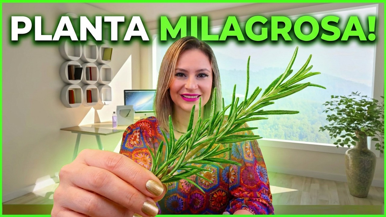 🟢ЧУДО-РАСТЕНИЕ, откройте для себя 30 полезных свойств ро 🌿🍵🧴