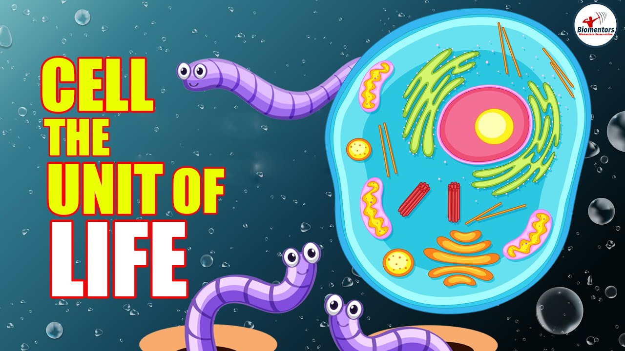 Cell the Unit of Life l Lecture 1 l Biology l NEET