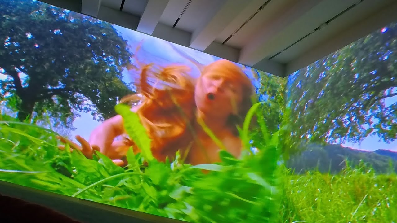 Video Art: Lungenfl&uuml;gel by Pipilotti Rist at the Tate Gallery London
