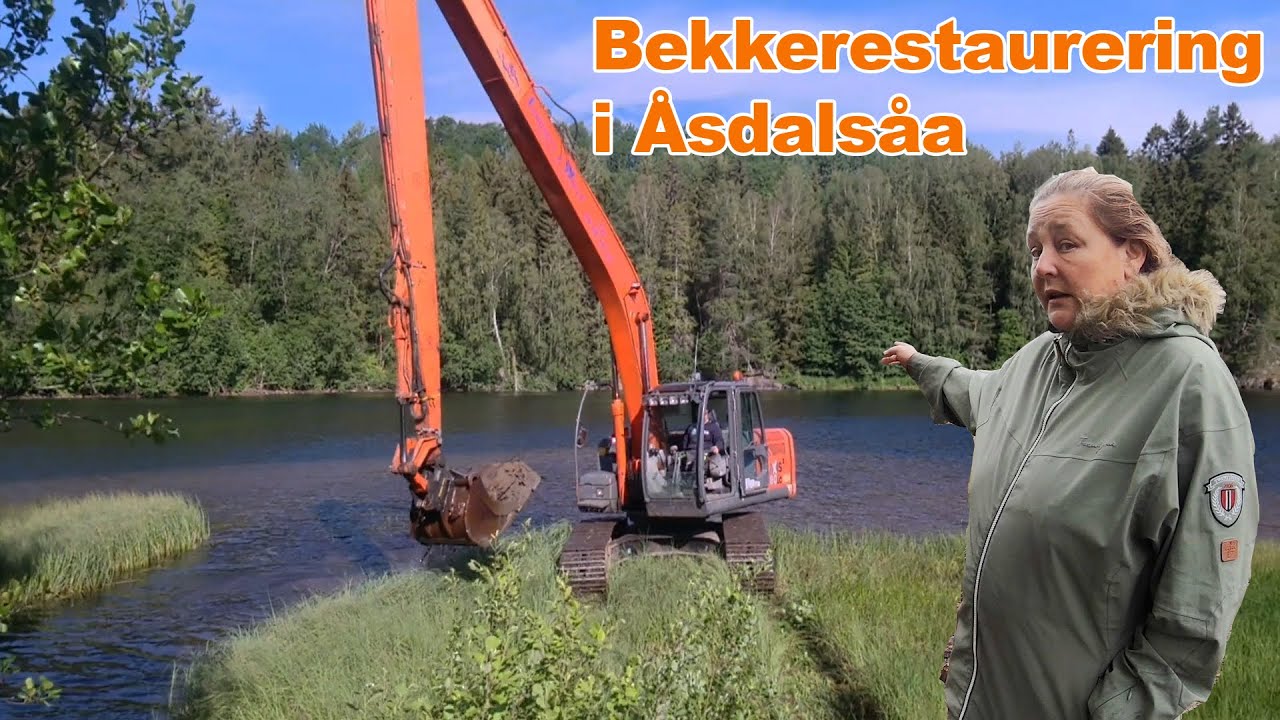 Bekkerestaurering av Åsdalsåa i Midt-Telemark