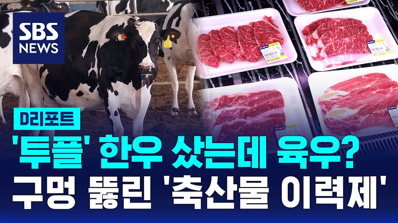 '투플' 한우 샀는데 육우?&hellip;구멍 뚫린 '축산물 이력제' / SBS / #D리포트