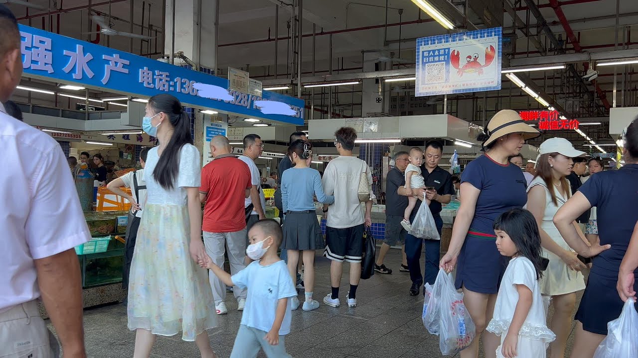 广东珠海渔船码头，各种刚捞上岸的生猛海鲜。City walk in Guangdong, China 4K