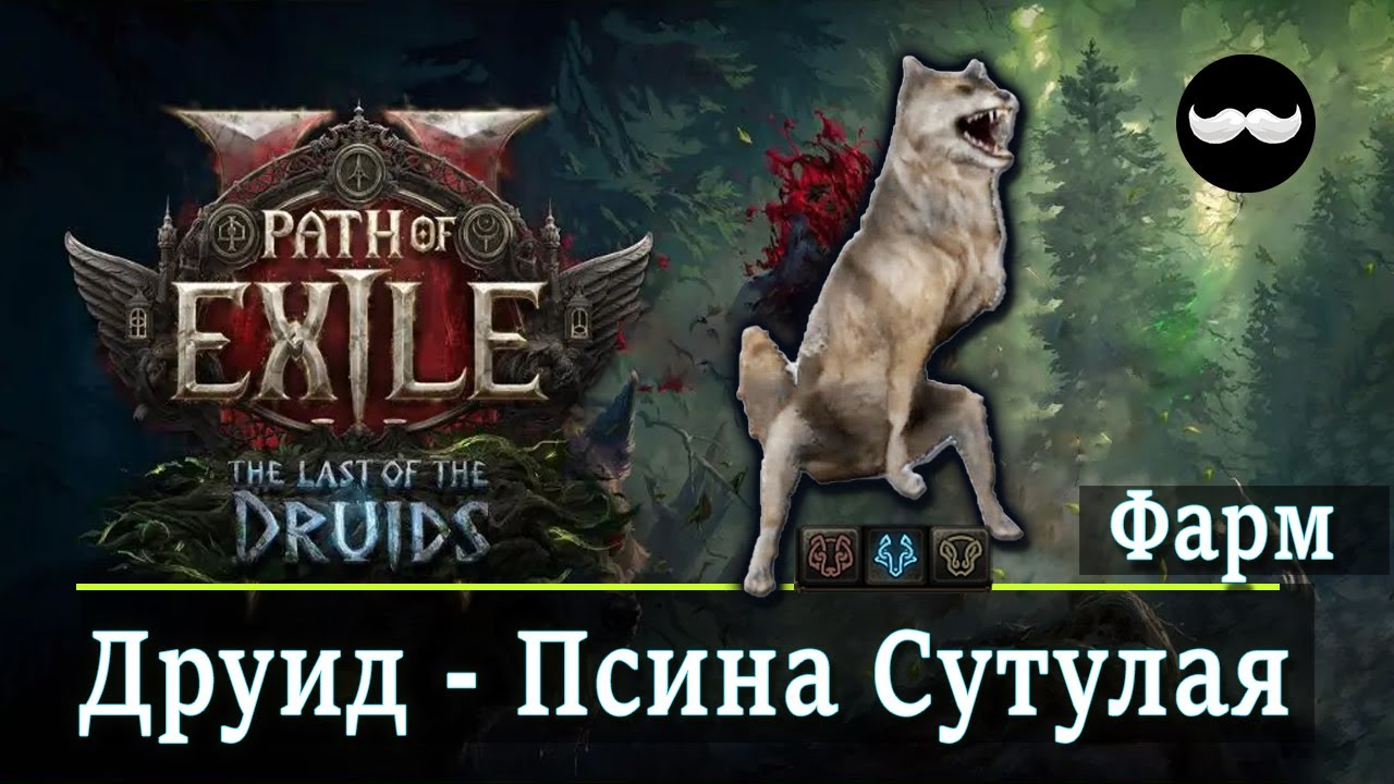 Drops! Друид Волк - Ледяная имба? | Path of Exile 2