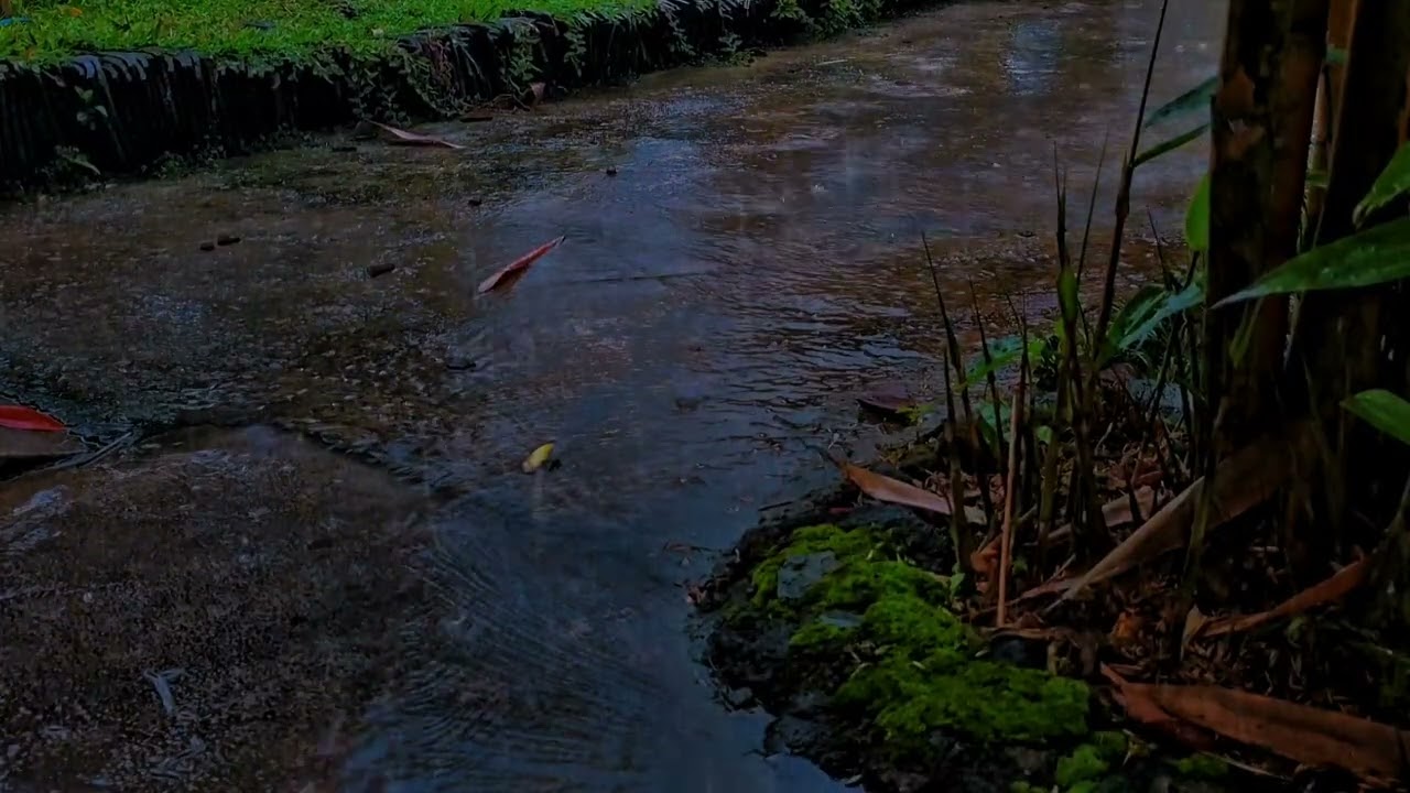 Rainwater Drifting Down a Secret Garden Trail 🌧️ | Peaceful Relaxation ASMR