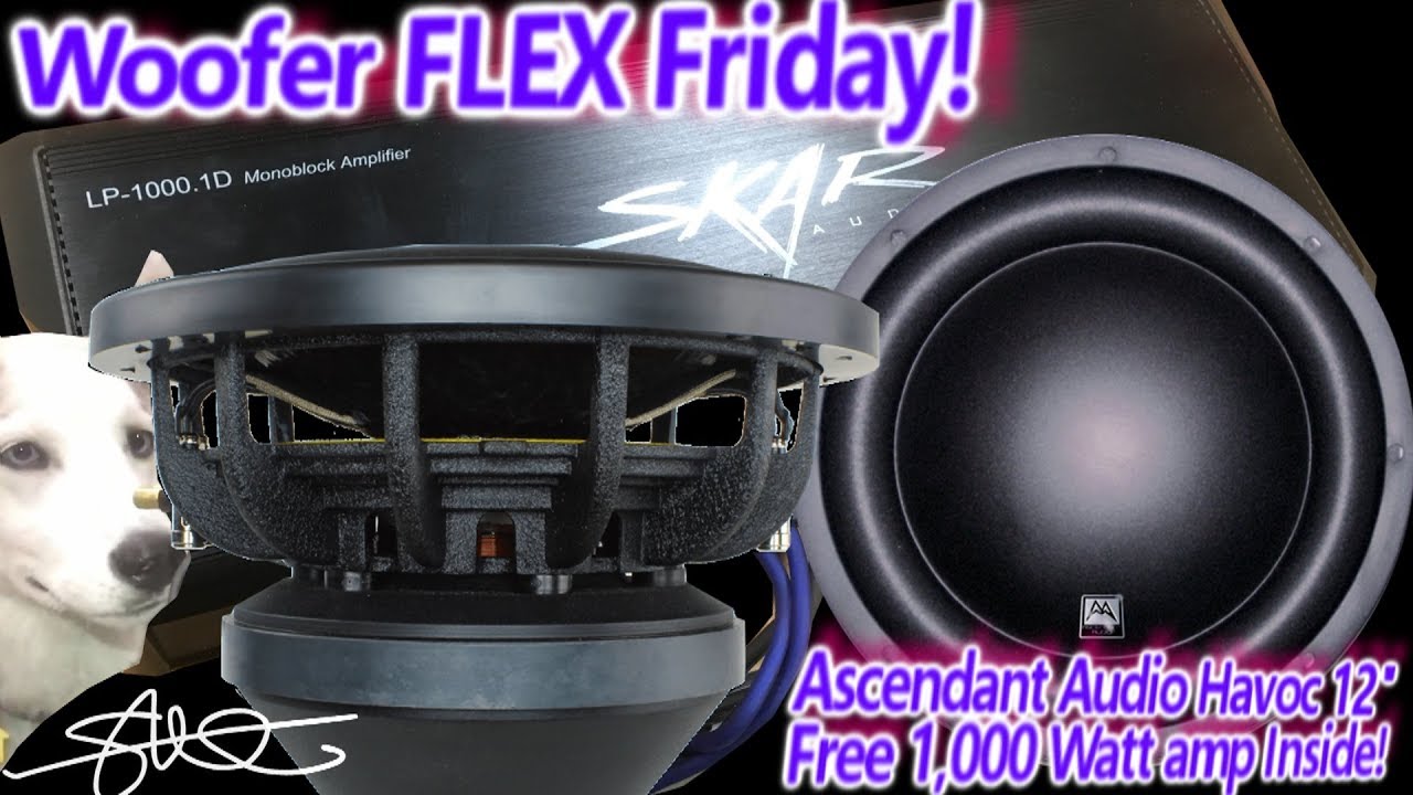 Woofer FLEX Friday - Ascendant Audio Havoc 12