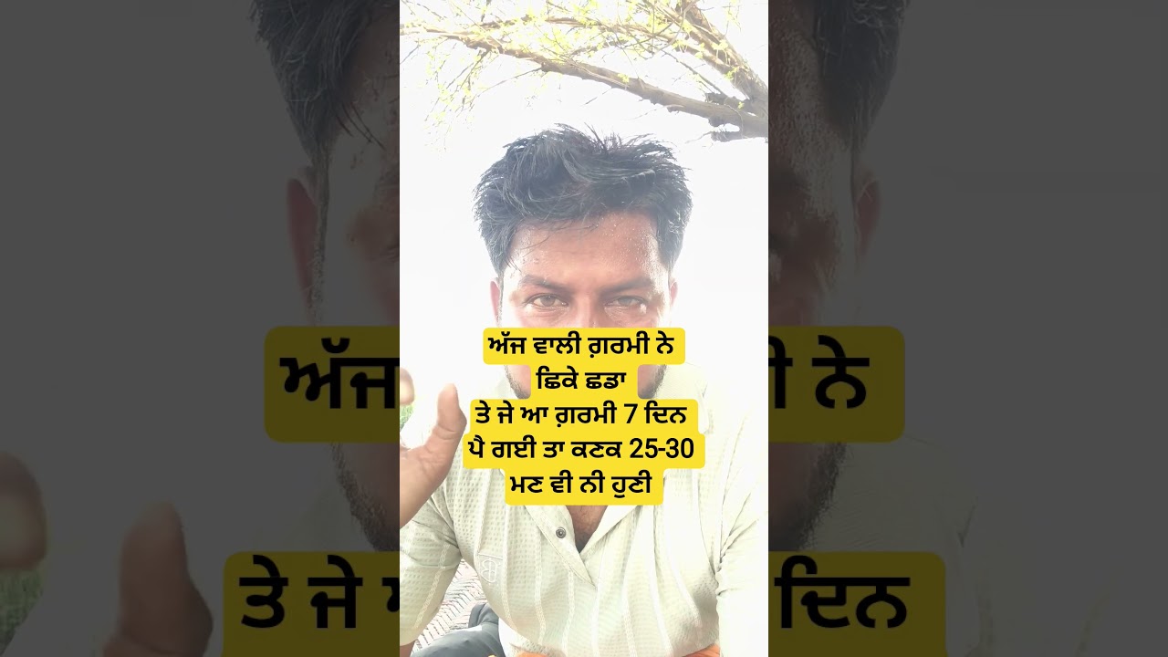 ਅੱਜ ਵਾਲੀ ਗ਼ਰਮੀ ਨੇ ਛਿਕੇ ਛਡਾ ਤੇ ਜੇ ਆ ਗ਼ਰਮੀ 7 ਦਿਨ ਪੈ ਗਈ ਤਾ ਕਣਕ 25-30 ਮਣ ਵੀ ਨੀ ਹੁਣੀ #PunjabWeather #mausam