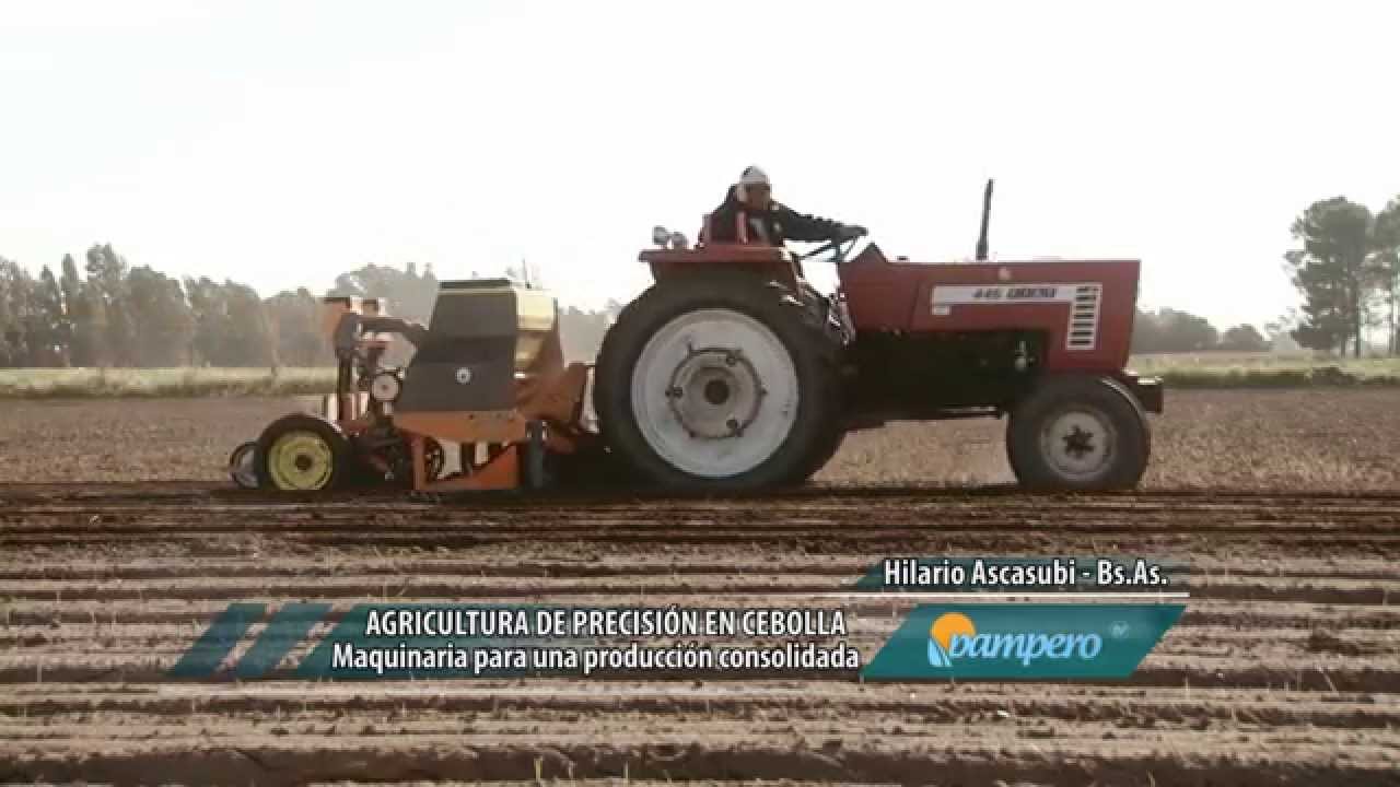 Agricultura de precisión en cebolla