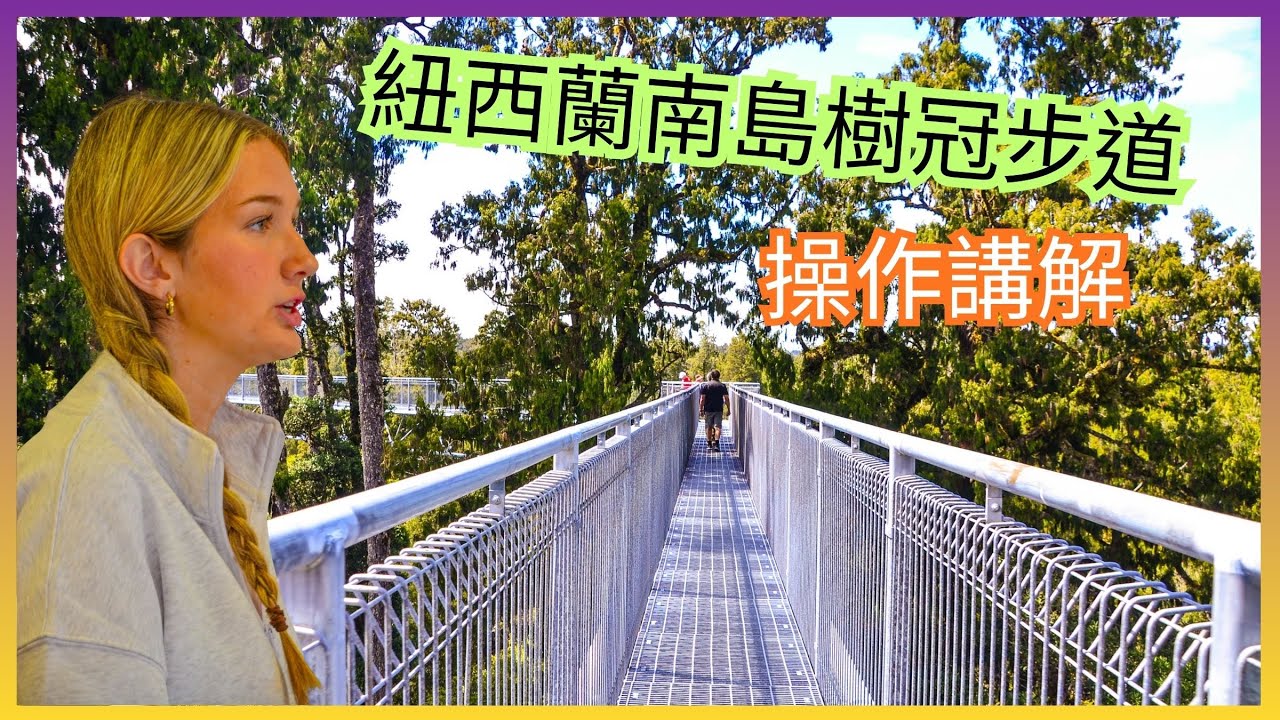 [4K]紐西蘭南島西海岸樹冠步道,TREE TOP,操作講解Operation explanation