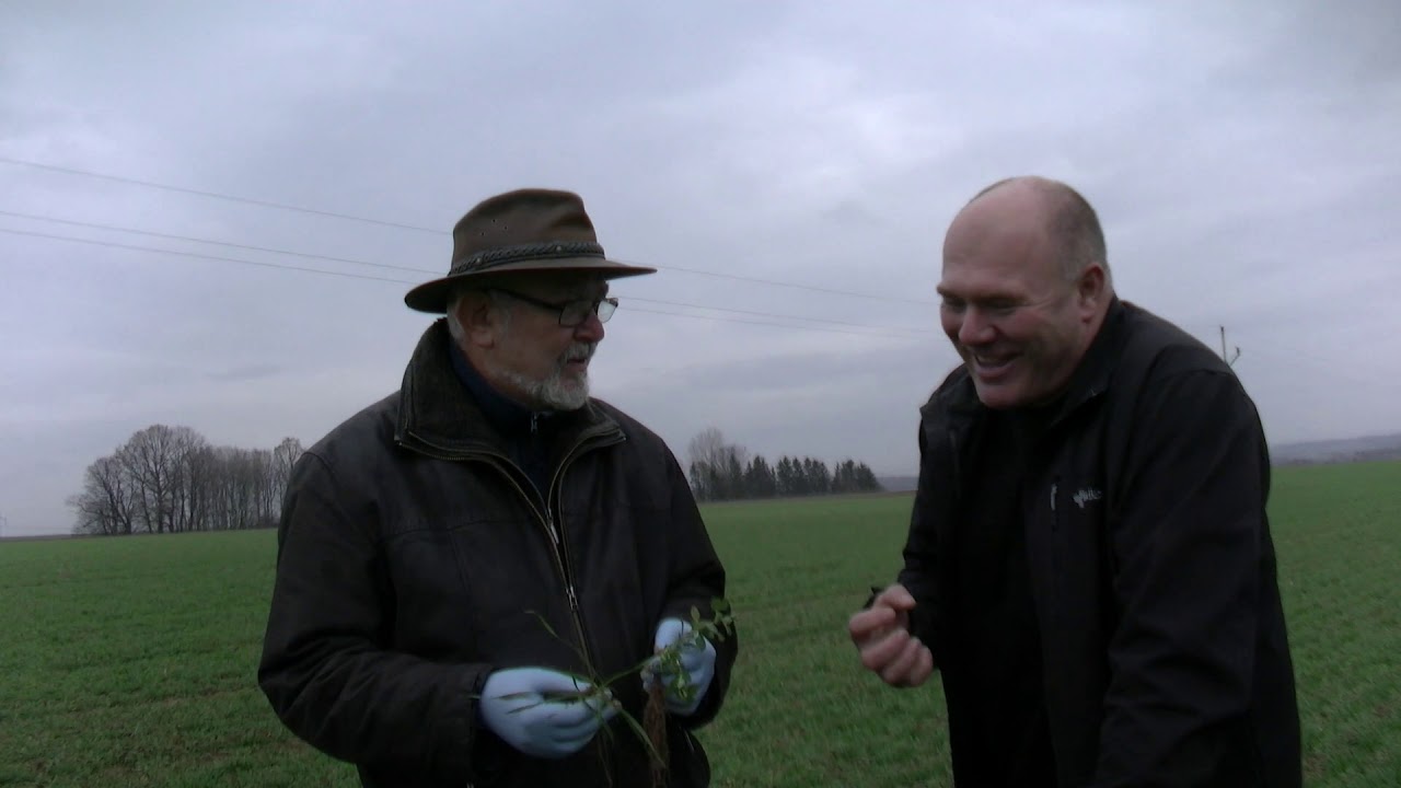 Pšenice s peluškou - Statek Bureš - Jindřich Šmöger -  21.11.2019