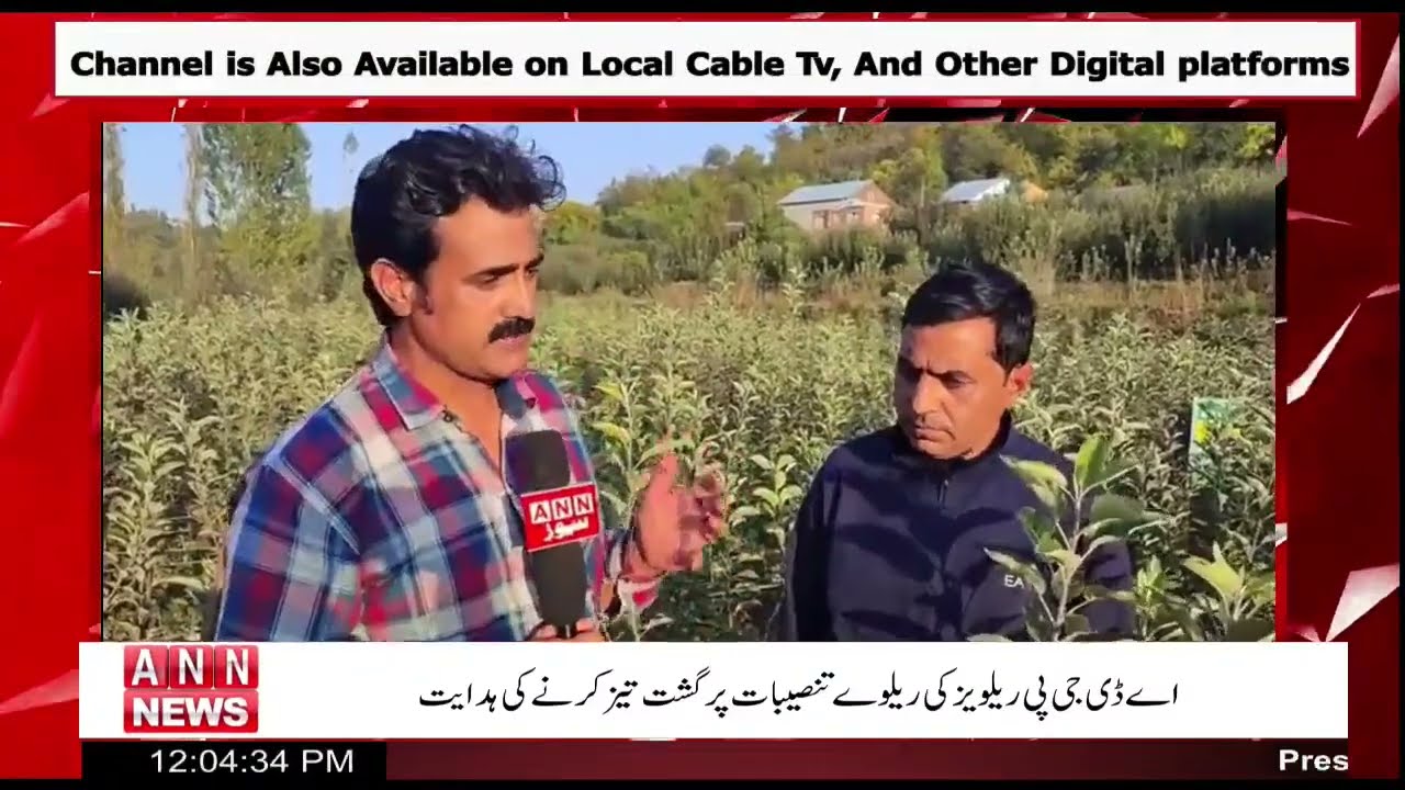 Urdu Khabarnama 08:00PM 12 Oct 2023 #ANNNews