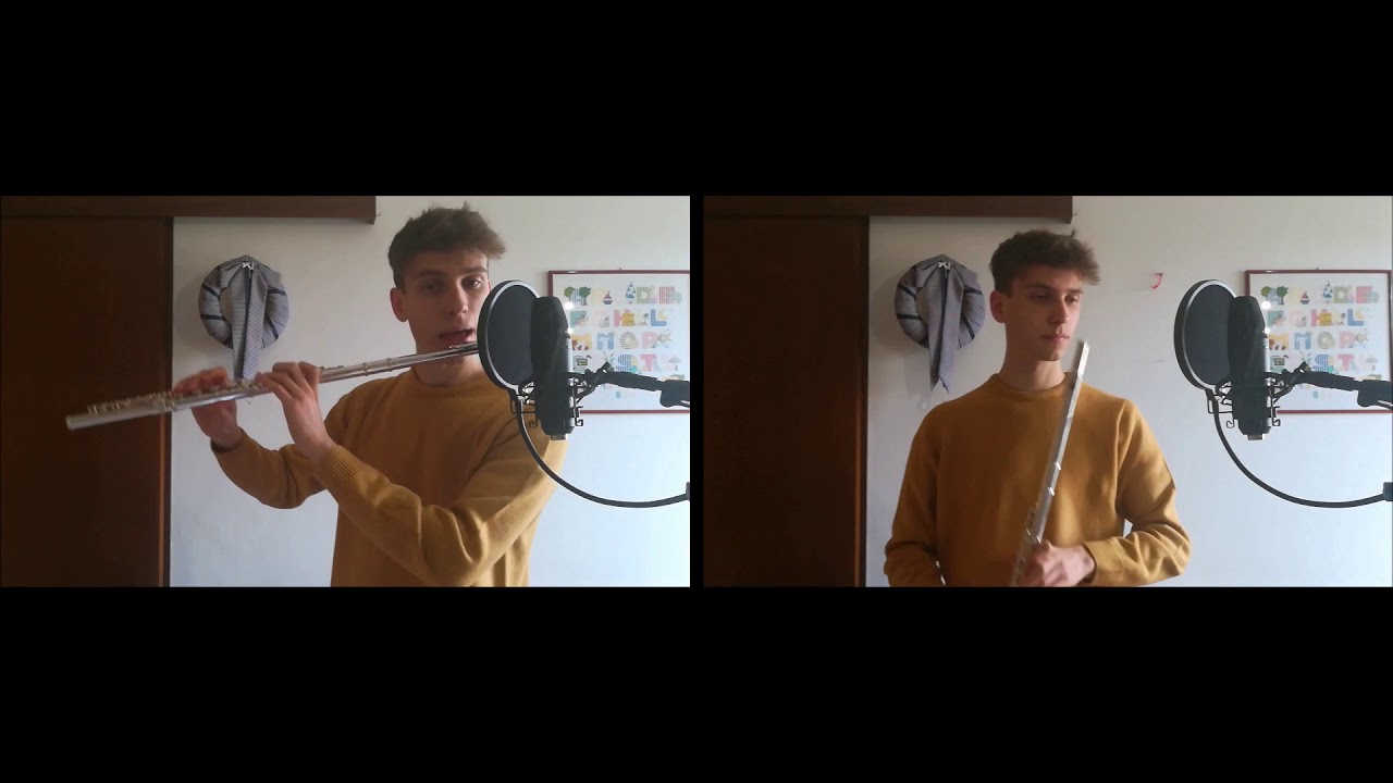 Poker Face - FLUTE Cover (Lady Gaga)