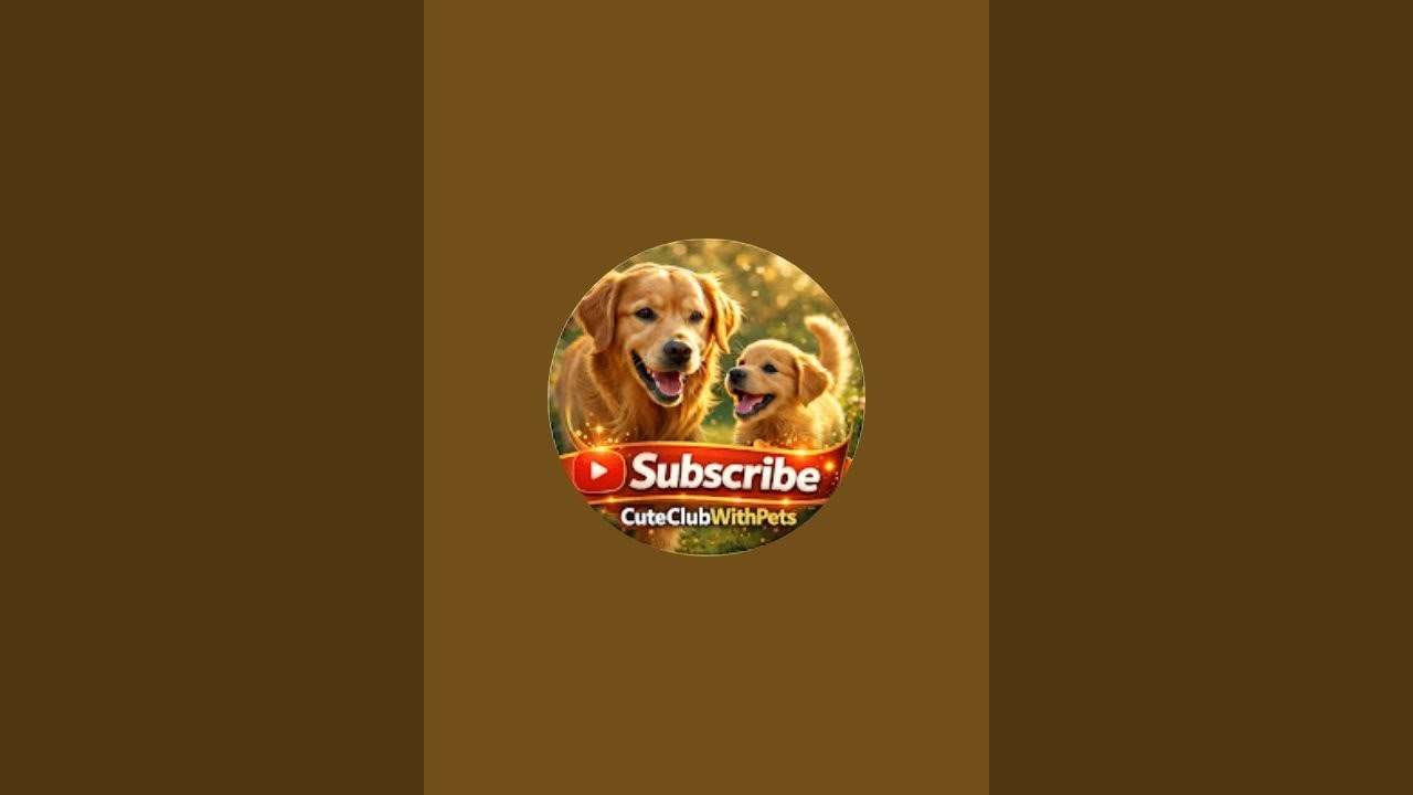 Cute Pets & Animals 🐾 | Pet Shorts 