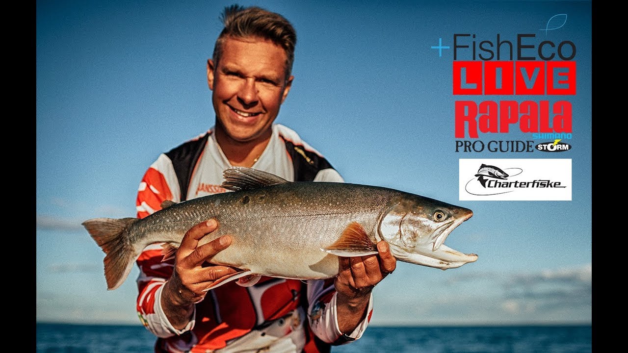 Allt om trolling på Vättern med Ove Johansson - Rapala Proguide!