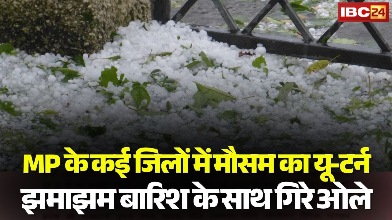 Madhya Pradesh Weather Update: Weather takes a U-turn in many districts of MP | Heavy rain and ha...