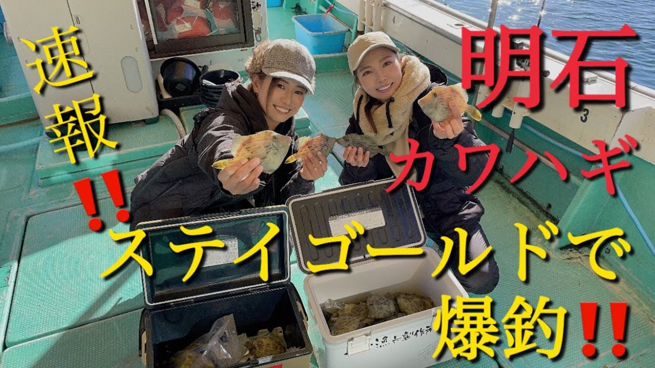 明石！久々のステイゴールドでAYAKAちゃんと大騒ぎ！カワハギ爆釣しております！