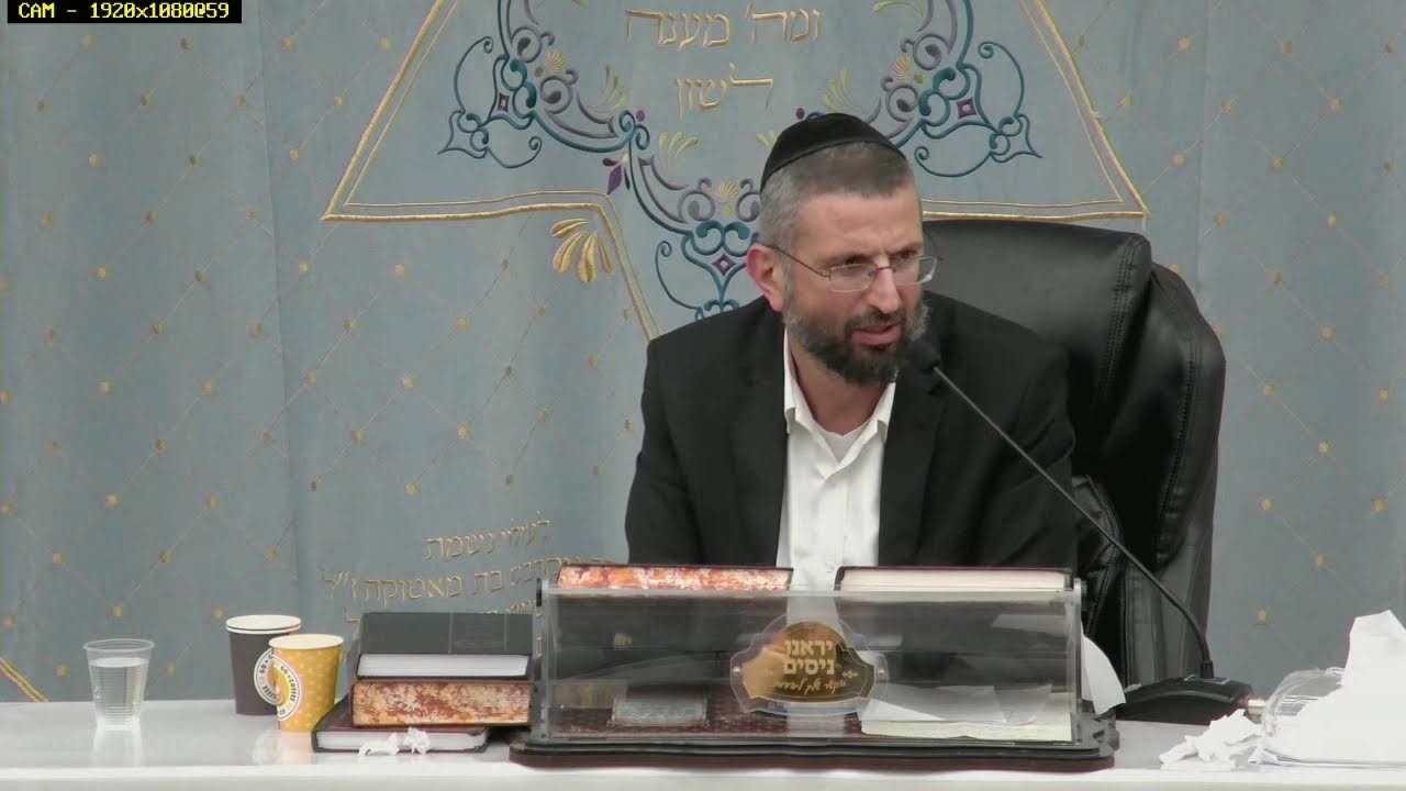 הרב רפאל רובין - רמב