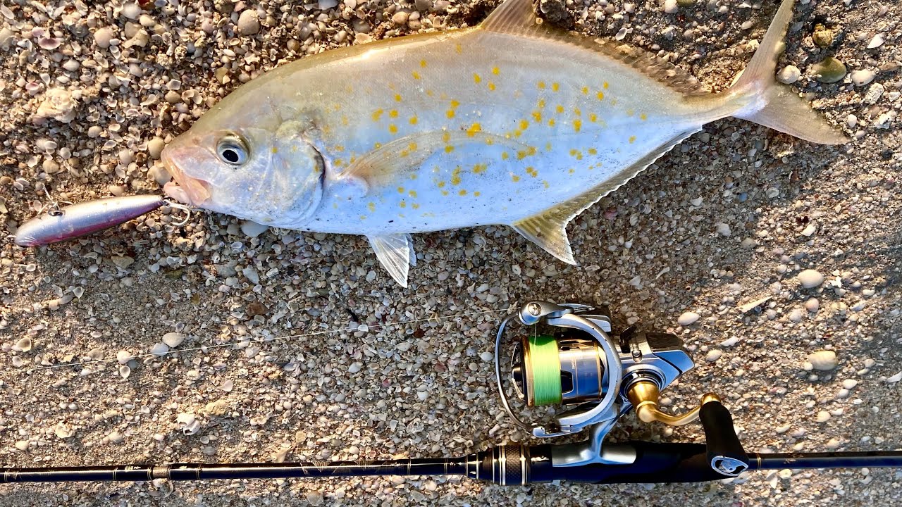 Fishing in Dubai | Topwater | How to catch Fish