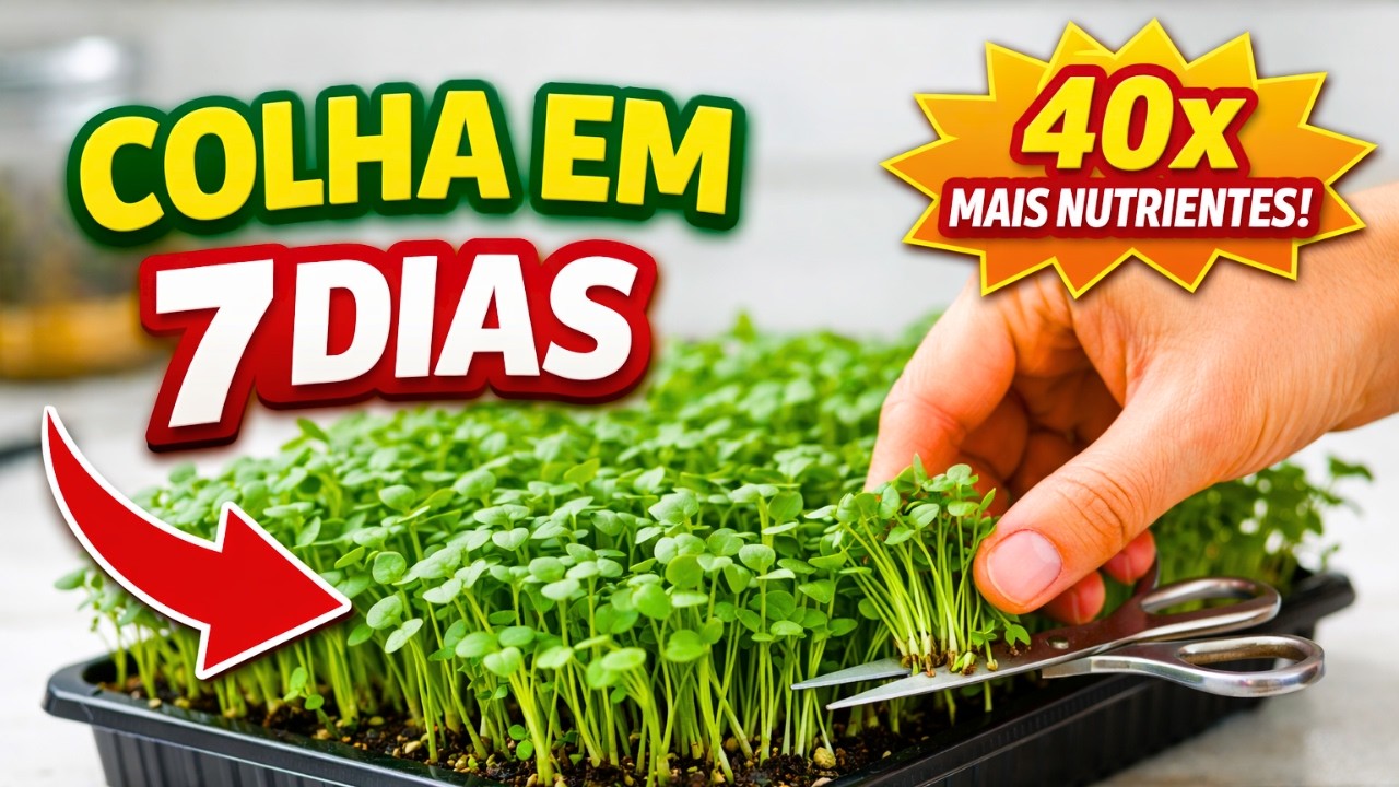 👉 Plante Isso HOJE e Colha em 14 Dias 🌱 (Guia de Microverdes)