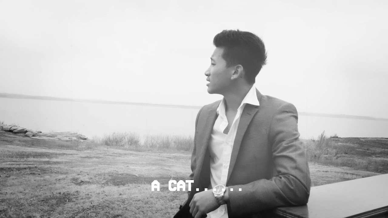 Victor Cung Van - ZAAN (Official Music Video)