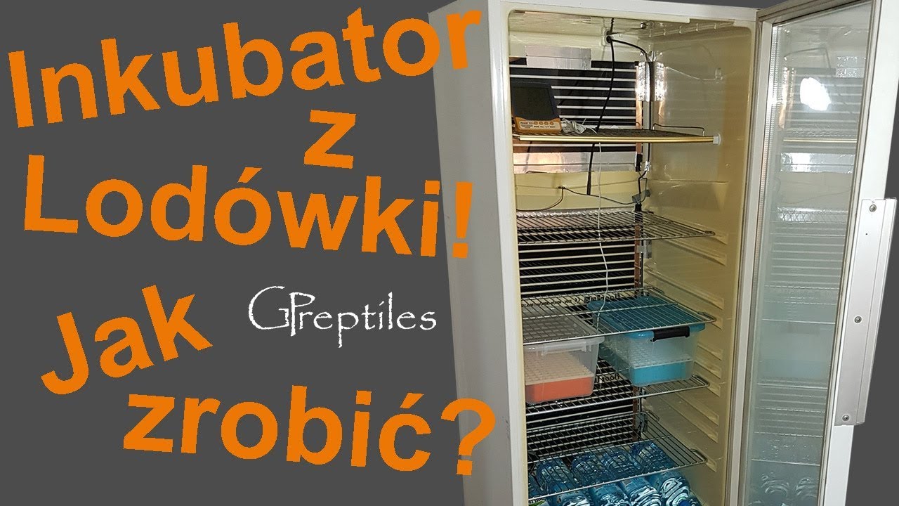 Jak zrobić Inkubator na jaja węży z lodówki / witryny chłodniczej!