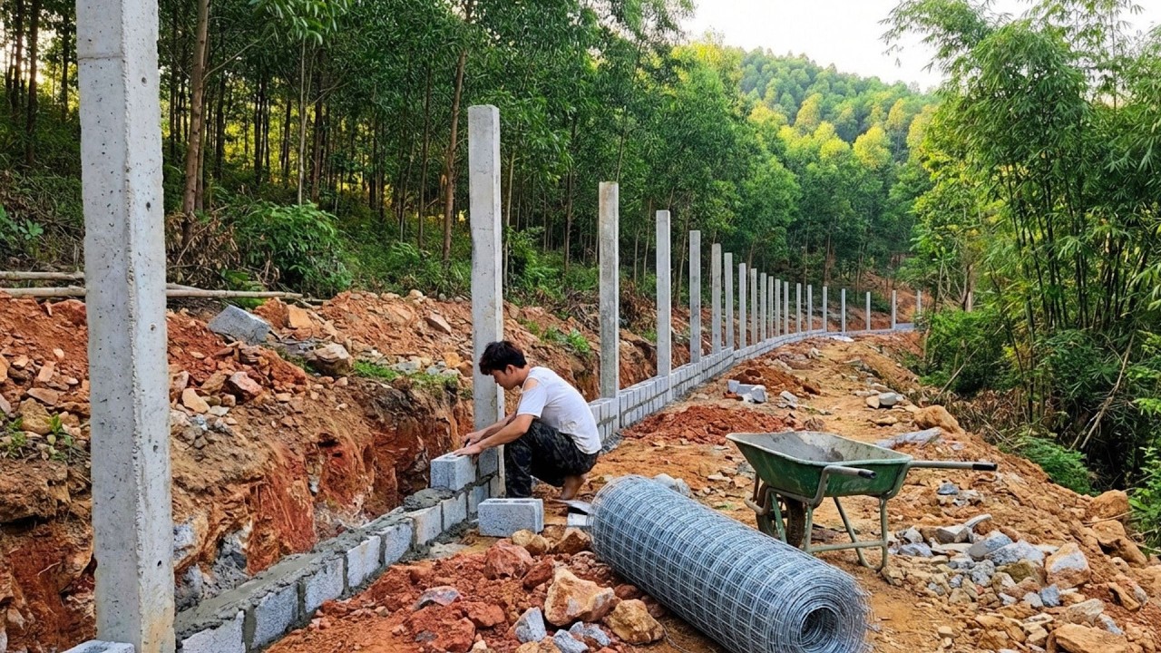 Build A Solid Fence To Protect The Farm – 100 Days Of Building A Farm In The Forest