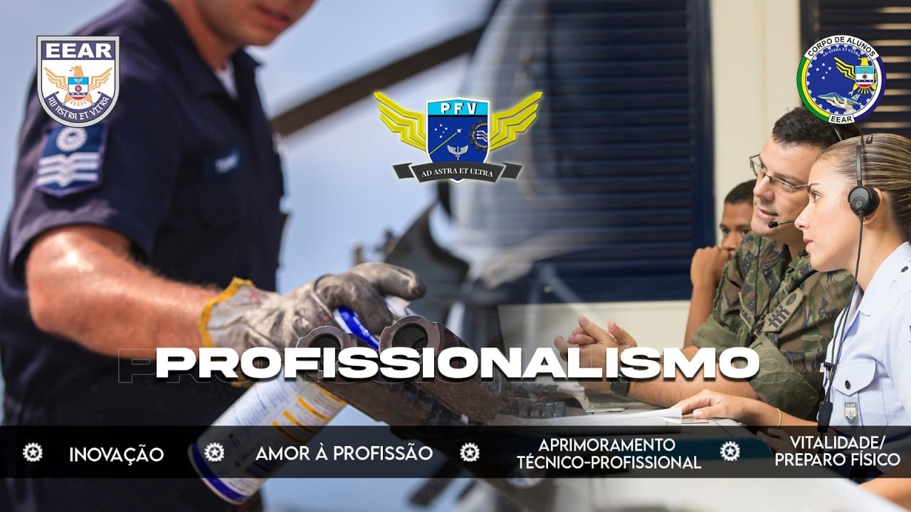 PROGRAMA DE FORMAÇÃO DE VALORES- PROFISSIONALISMO