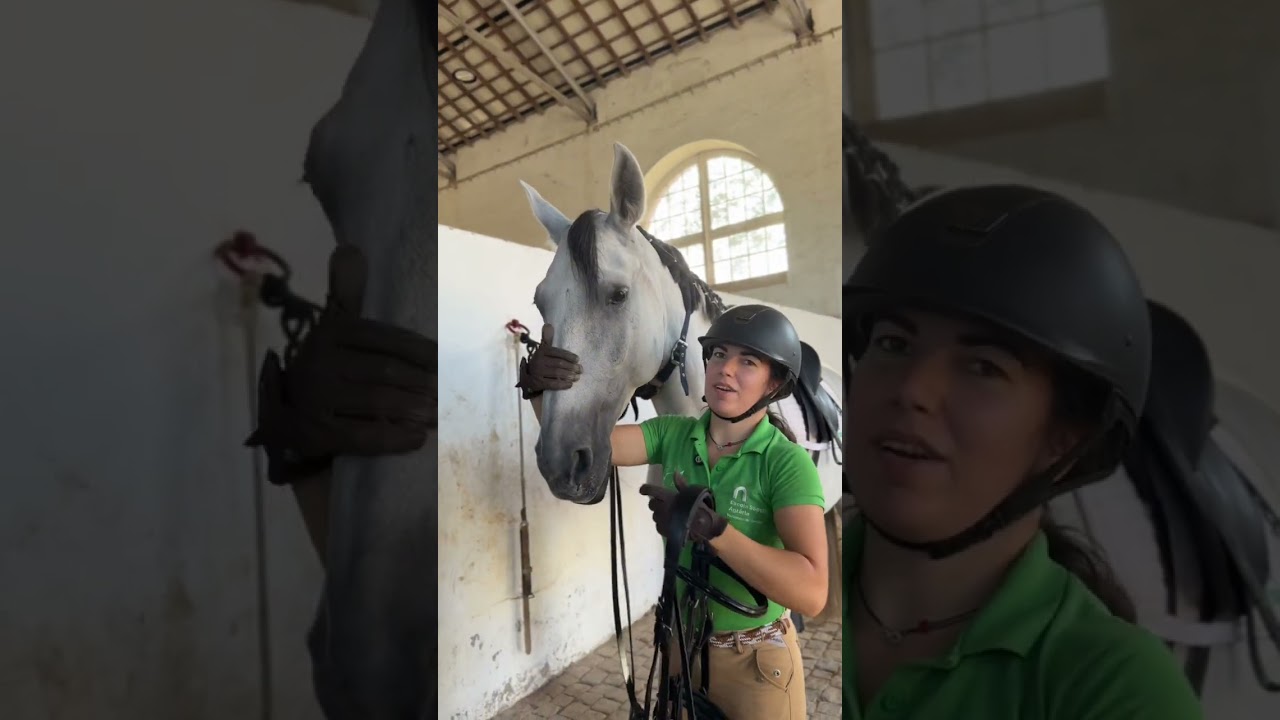 Como aparelhar o cavalo para a prática da equitação #esac #aparelharocavalo #equitacao #cavalo