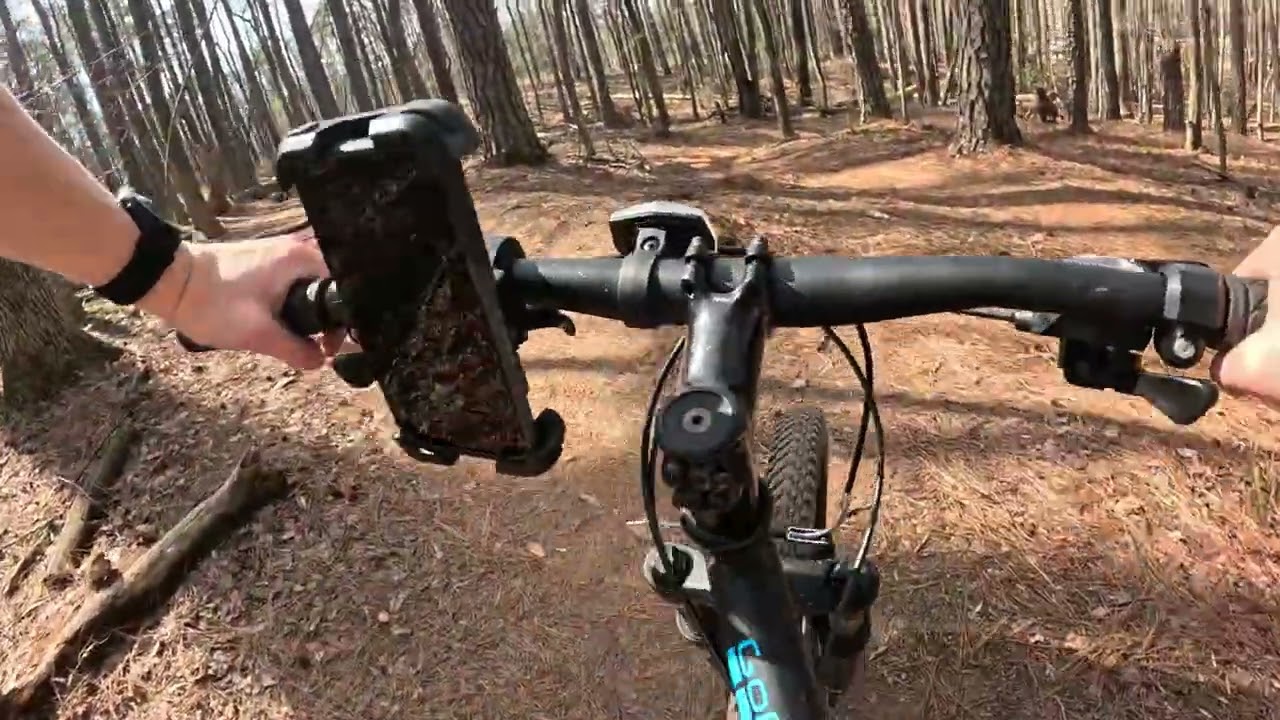 Clips from 3/1/2026