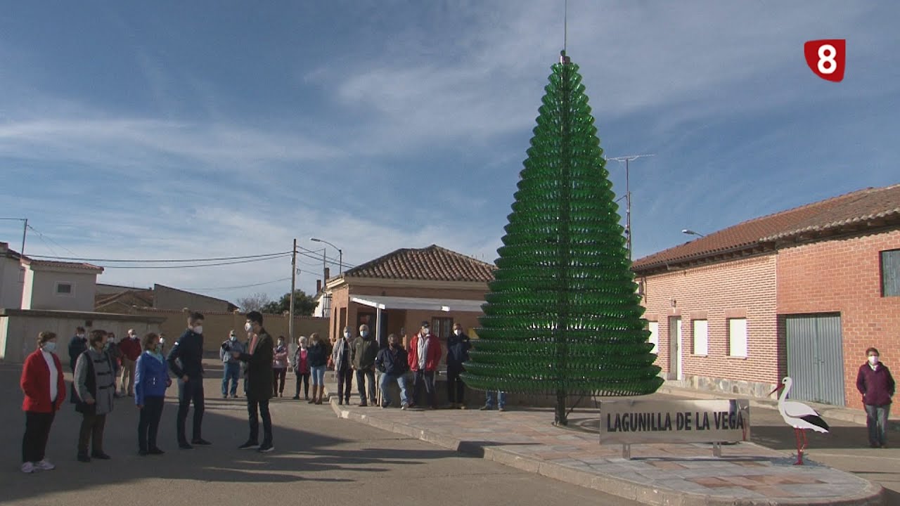 Un árbol de botellines