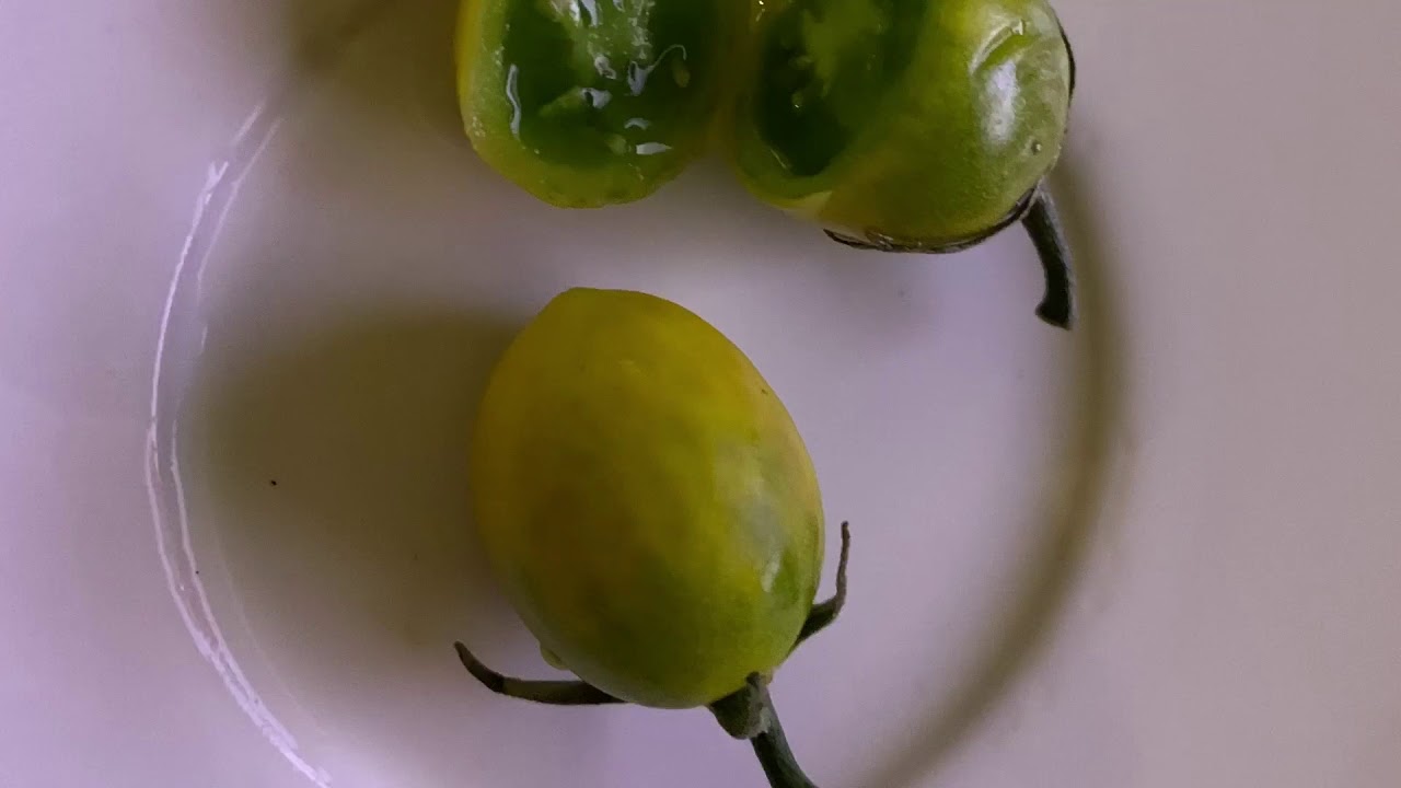 Review of the Green Grape Tomato