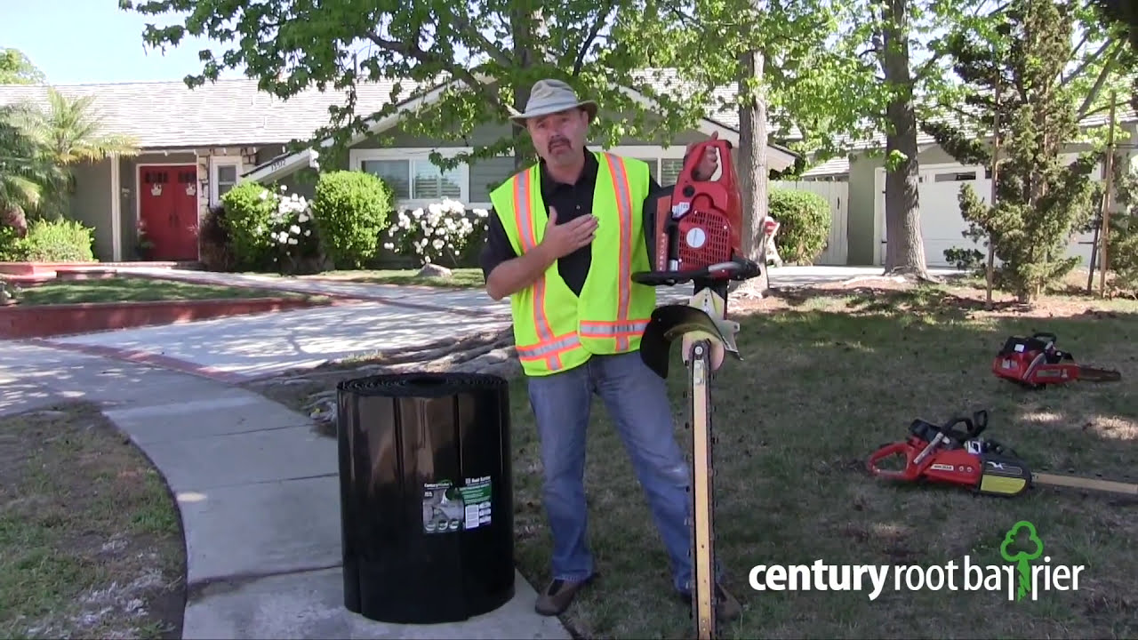 Century Root Barrier Installation | Santa Ana Landscaping Project