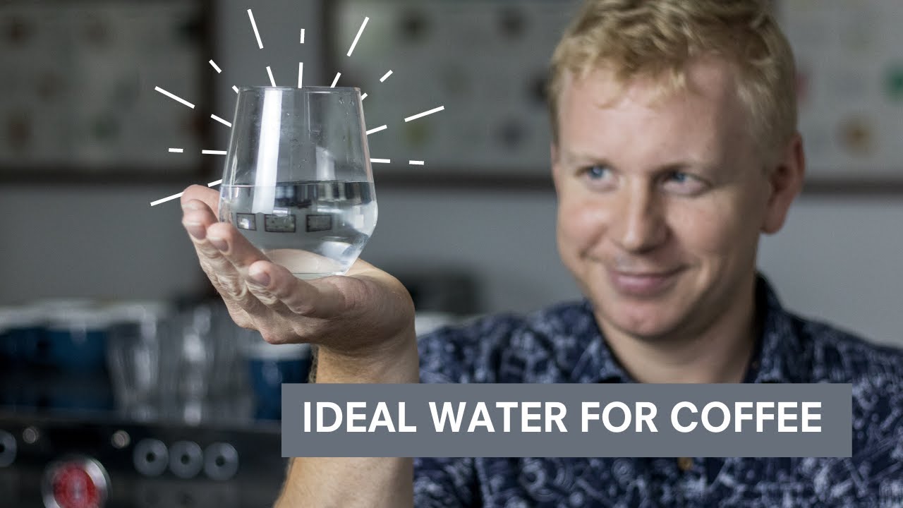 Water for Coffee: The top 3 things our research revealed.